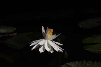 pg电子游戏试玩(模拟器)官方网站 -手机版app下载